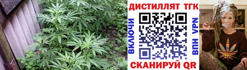 KRAKEN маркетплейс  Мирный  Дистиллят ТГК концентрат  купить  сайты 